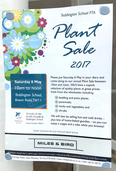 Plant Sale