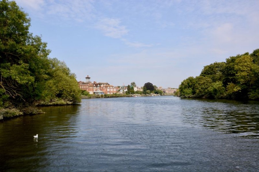 Images for Swan Island, Strawberry Vale, Twickenham EAID:Miles&Bird BID:Miles & Bird