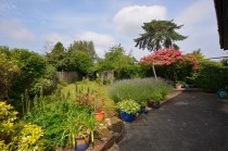 Images for Summer Avenue, East Molesey