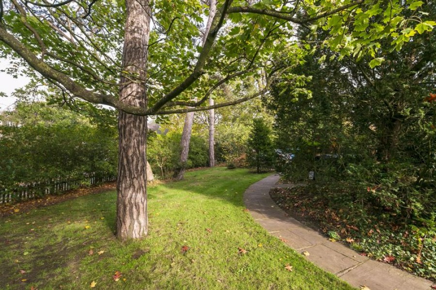 Images for Palace Road, East Molesey EAID:Miles&Bird BID:Miles & Bird