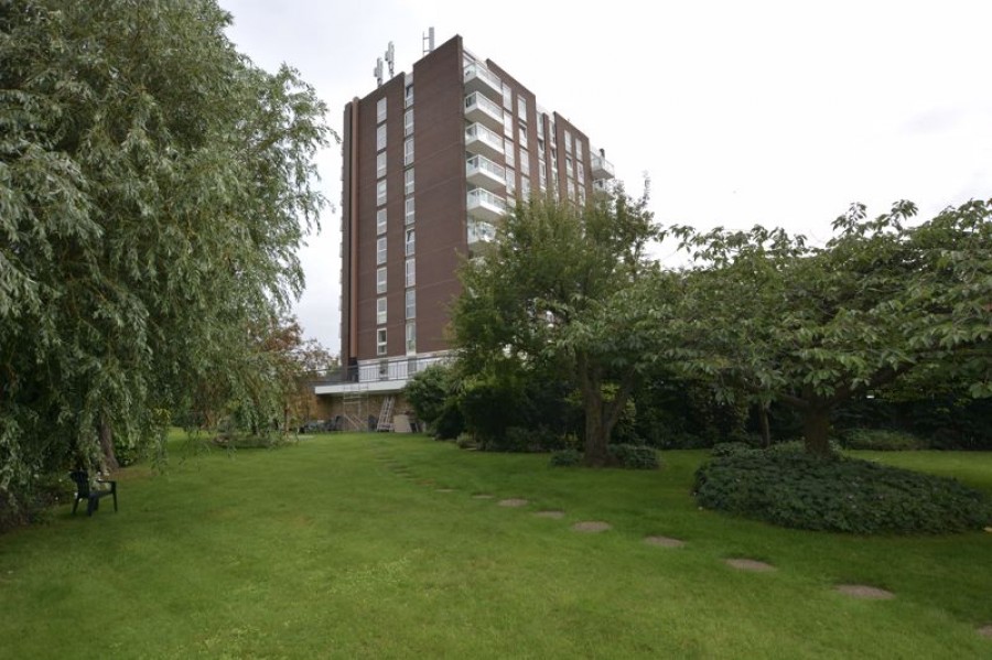 Images for Victoria Avenue, West Molesey EAID:Miles&Bird BID:Miles & Bird