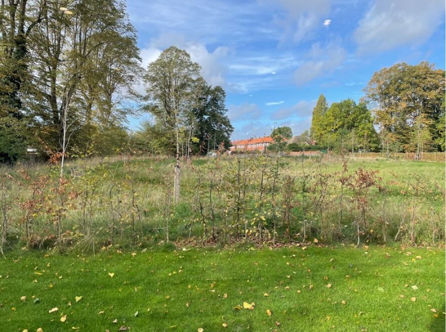 Images for Pavilion Place, East Molesey EAID:Miles&Bird BID:Miles & Bird