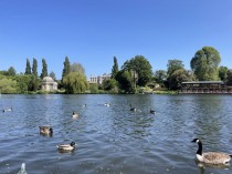Images for The Fairway, West Molesey