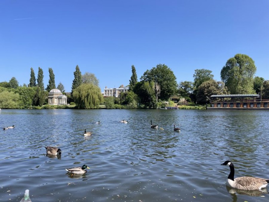 Images for The Fairway, West Molesey EAID:Miles&Bird BID:Miles & Bird