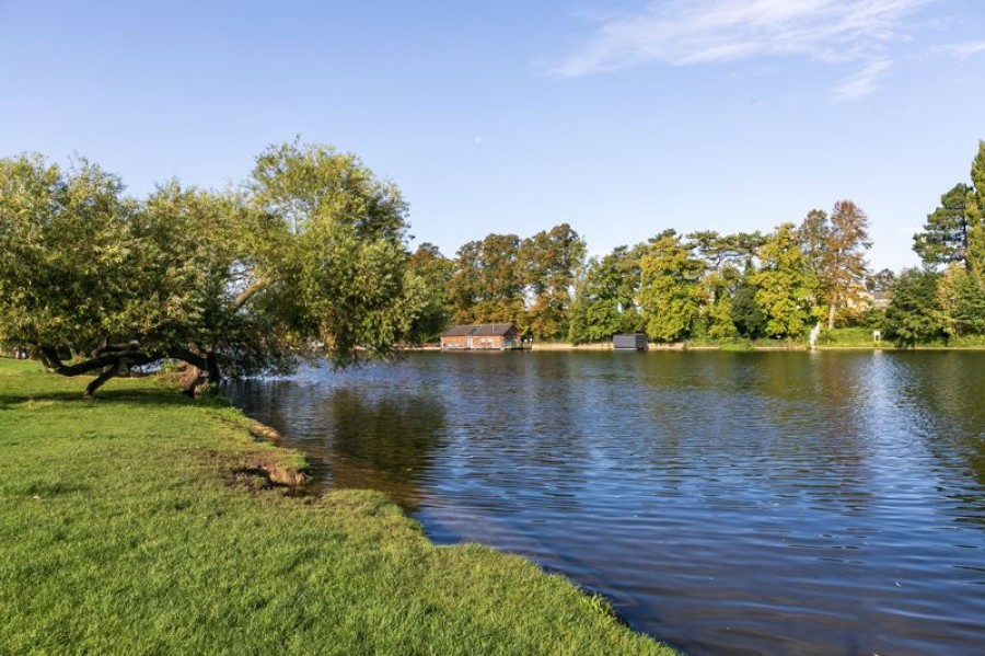 Images for Buckingham Gardens, Hurst Park EAID:Miles&Bird BID:Miles & Bird