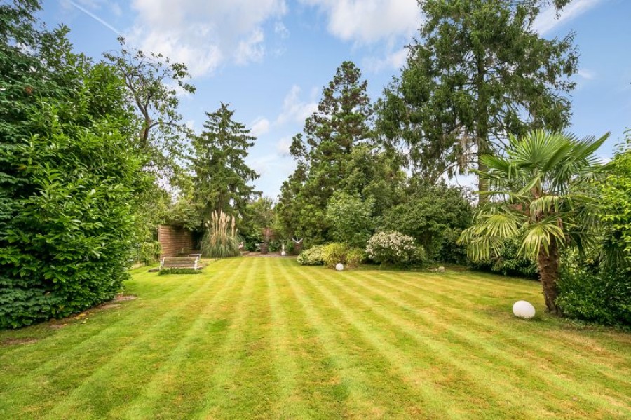 Images for Seymour Road, East Molesey EAID:Miles&Bird BID:Miles & Bird
