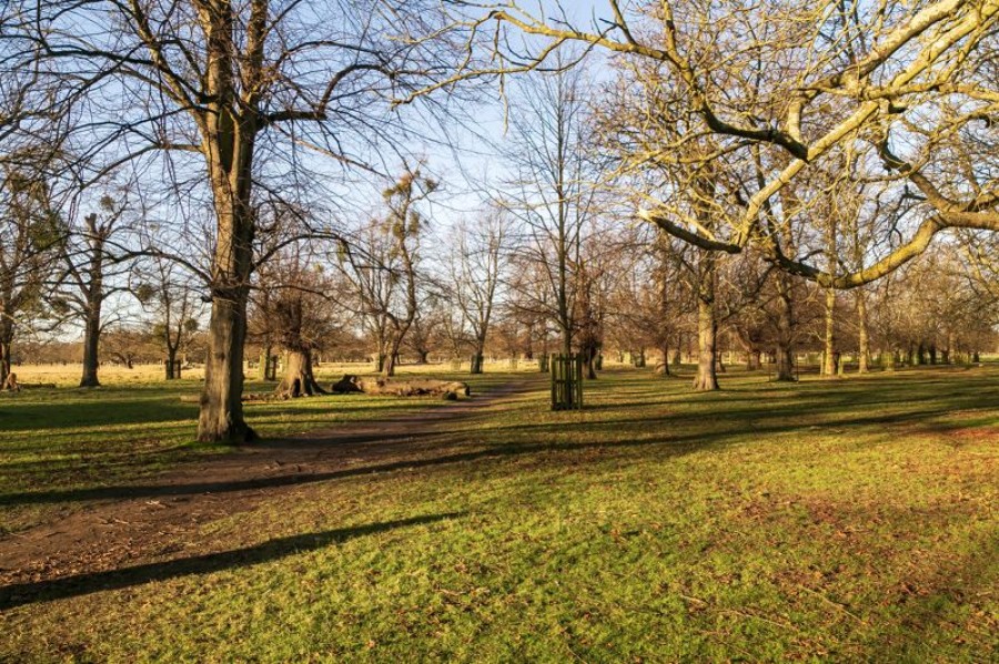 Images for Hampton Court Road, East Molesey EAID:Miles&Bird BID:Miles & Bird