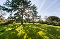 Images for Motcombe House, Palace Road, East Molesey