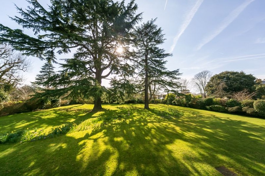 Images for Motcombe House, Palace Road, East Molesey EAID:Miles&Bird BID:Miles & Bird