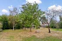 Images for Summer Avenue, East Molesey