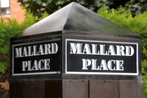 Images for Mallard Place, Strawberry Hill