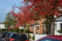 Images for Wick Road, Teddington