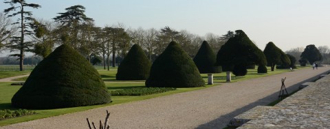 Welcome to Miles & Bird