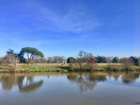 Valentine's lunch at The Albany, Thames Ditton